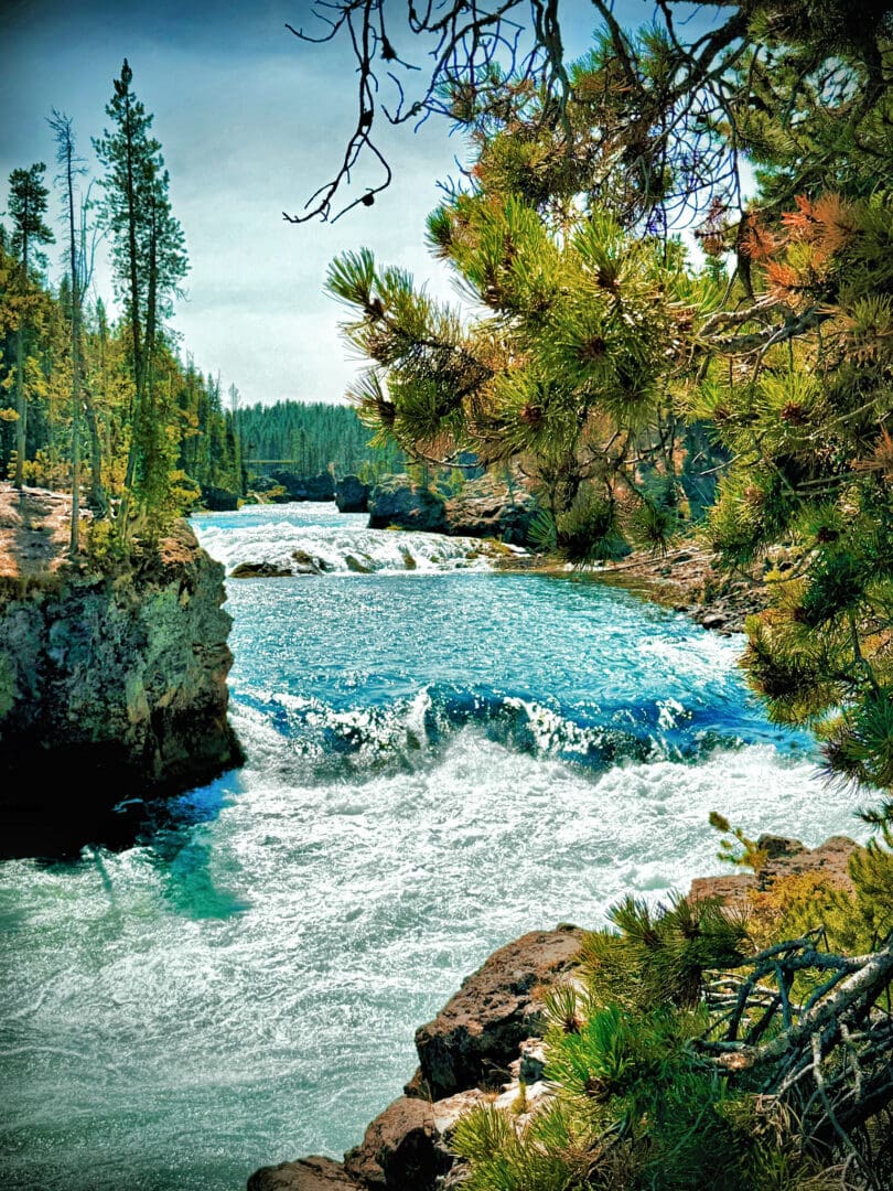 Pine-framed river rapids through rocky forest