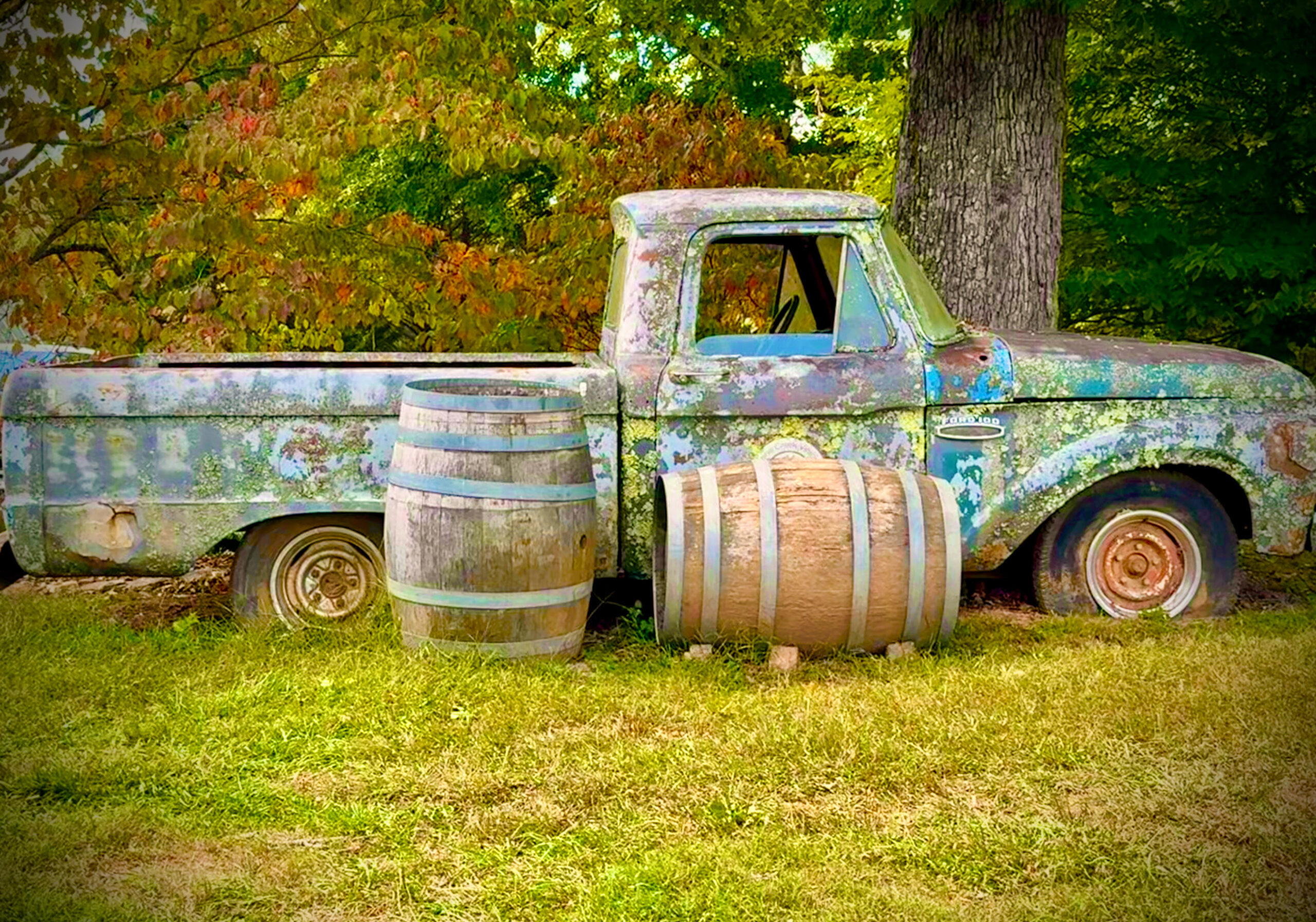 Rusty vintage pickup truck with wooden barrels